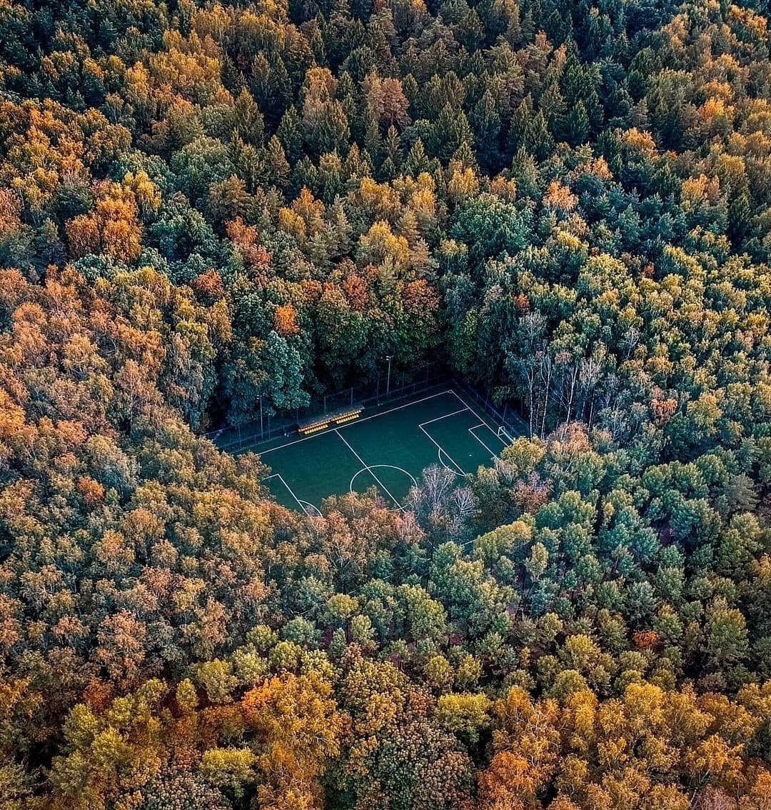 Мещерский лес Москва парк