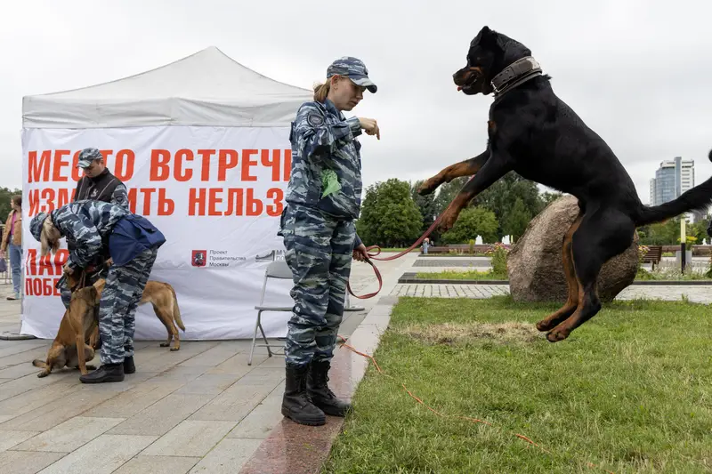 Музей Победы пригласил провести «Один день с полицией России» в парке