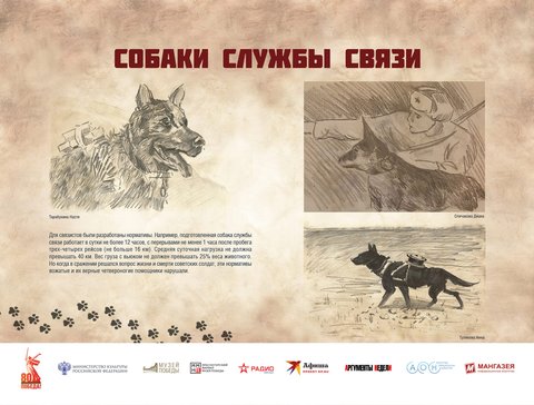 Выставка «Четвероногие герои»