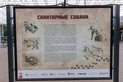 Выставка «Четвероногие герои»