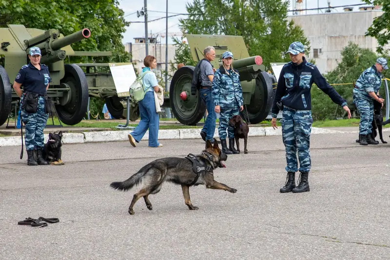 Гостям фестиваля Музея Победы рассказали, как из щенка воспитать Героя