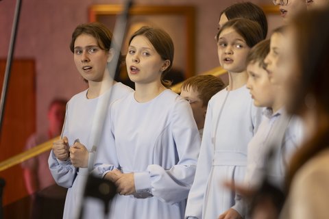 Журавли Победы