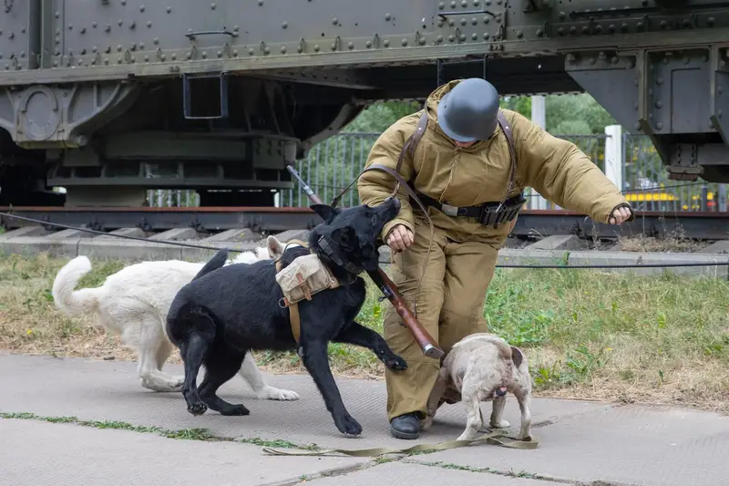 Музей Победы пригласил на военно-историческую реконструкцию