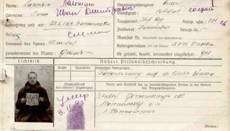 Красногорский филиал Музея Победы установил судьбу пропавшего в годы войны уроженца нижегородской области