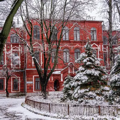 Бахрушинская больница - Скоокольники - 5