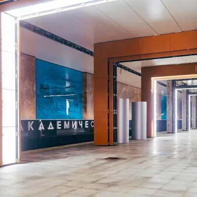 Академическая