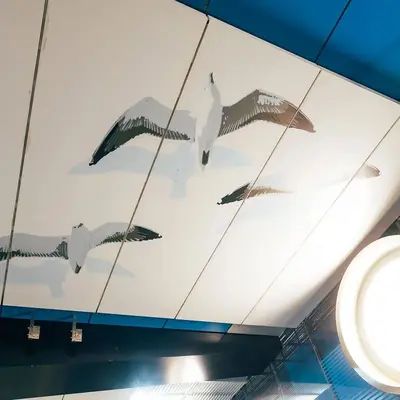 Чайки на Крымской