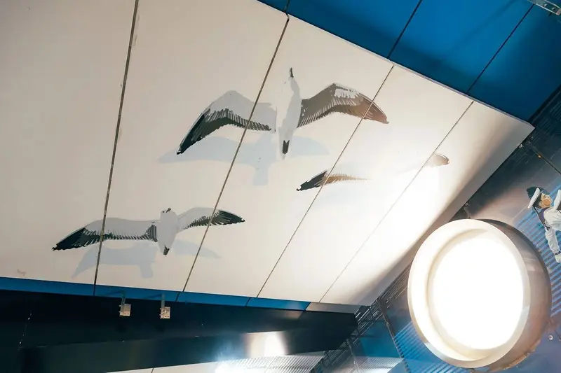 Чайки на Крымской