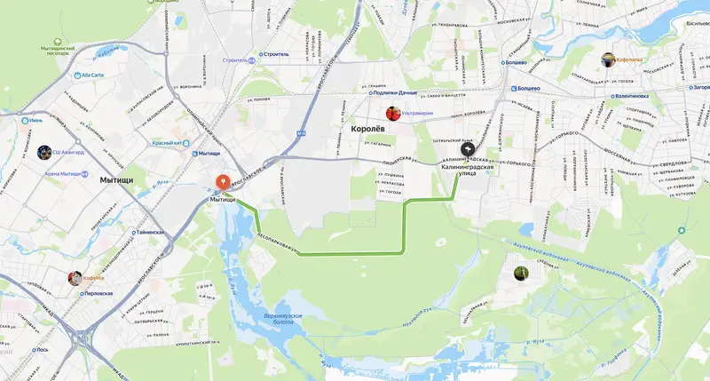 Второй въезд в Королев: новая дорога через Лосиный остров и суд