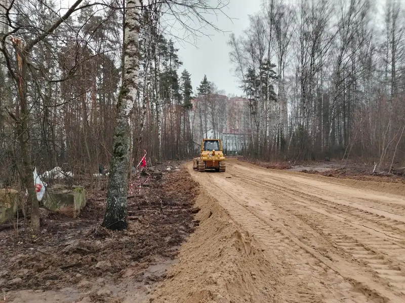 Стройка нового выезда из Королёва: к строителям вышли лоси