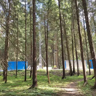 Электродепо Ильинское - вырубка леса