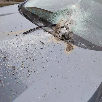 Фотографии Красногорска после обрушения Снежкома - 1