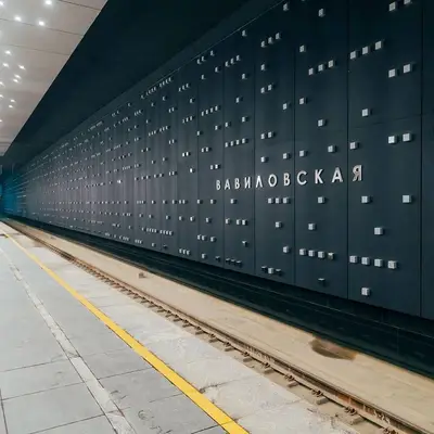 Один из путей на Вавиловской