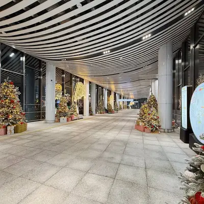 Петровско-Разумовская - МЦД-1 - елки