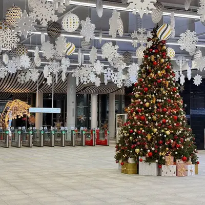 Петровско-Разумовская - МЦД-1 - турникеты