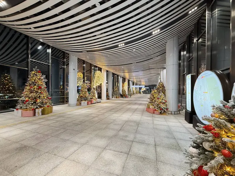 Петровско-Разумовская - МЦД-1 - елки