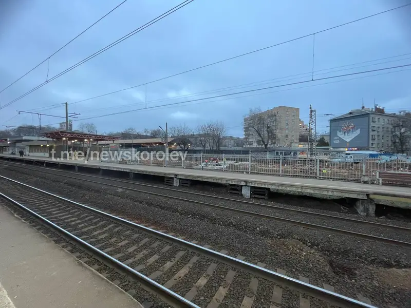 МЦД-5 и станция Подлипки-Дачные: Строительство надземного перехода