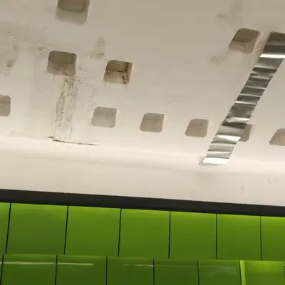 Станция Новомосковская - Троицкая линия метро - протечки через год - 1