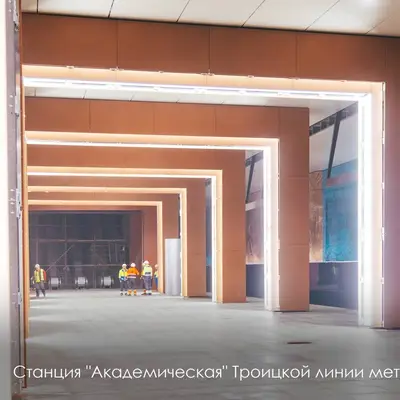 Вавиловская платформа Троицкая