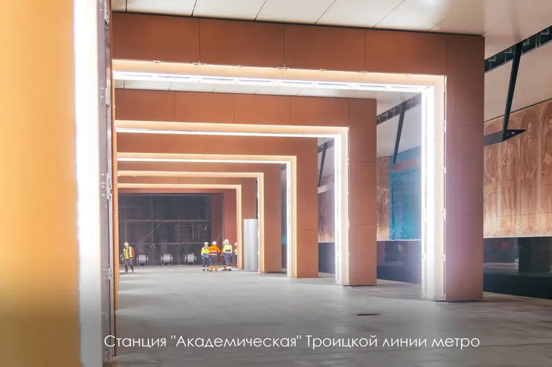 Вавиловская платформа Троицкая