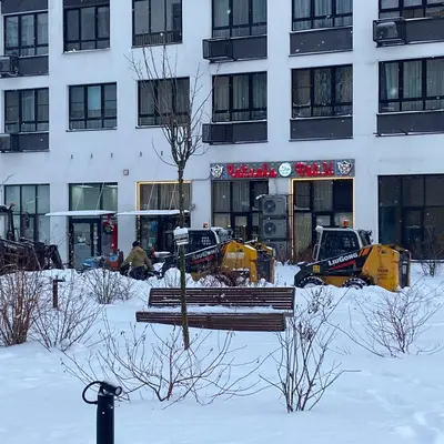 ЖК Бунинские луга - десант для очистки снега - мэра приезд - 3