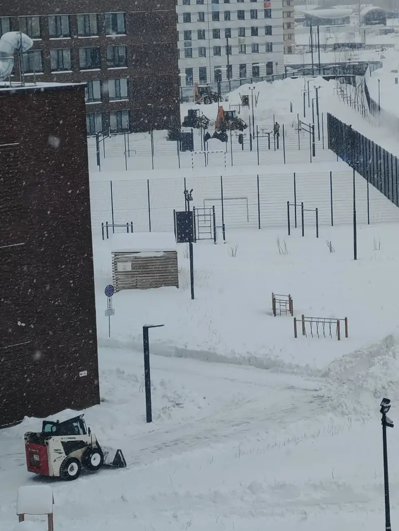 ЖК Бунинские луга - десант для очистки снега - мэра приезд - 5
