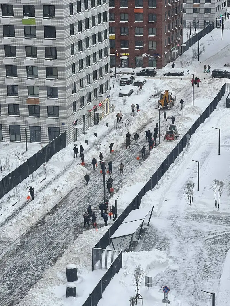 ЖК Бунинские луга - десант для очистки снега - мэра приезд - 2