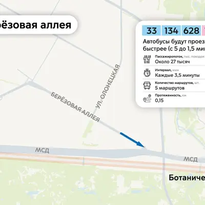 березовая аллея