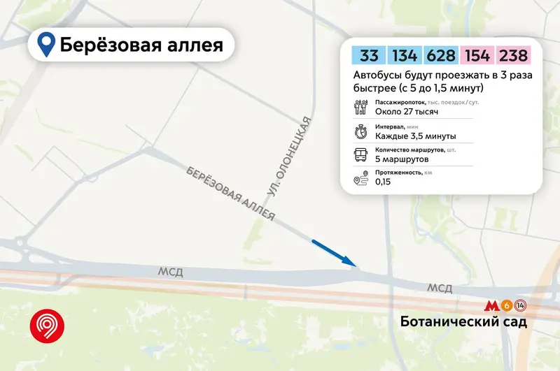 березовая аллея