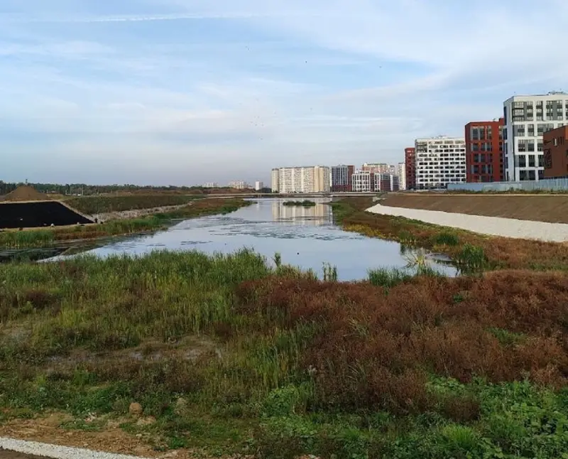 Результаты исследования воды из Большого Федосьинского пруда: вода опасна!