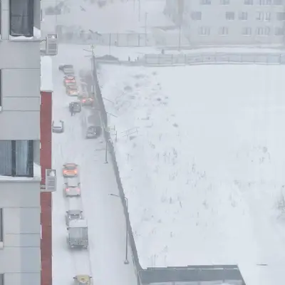 9 января - Румянцево Парк - 1