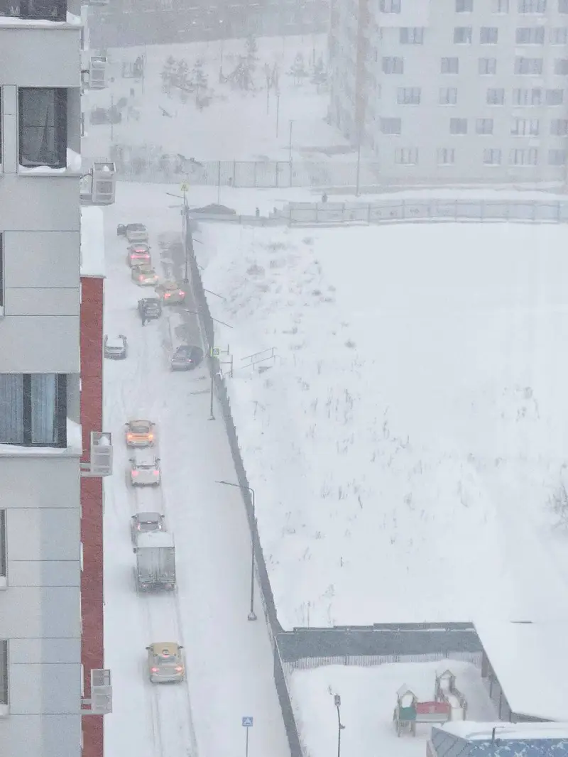 9 января - Румянцево Парк - 1