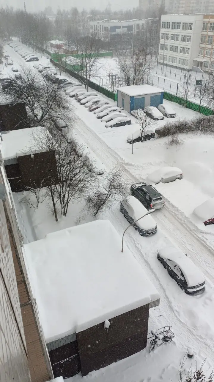 9 января - Солнцево