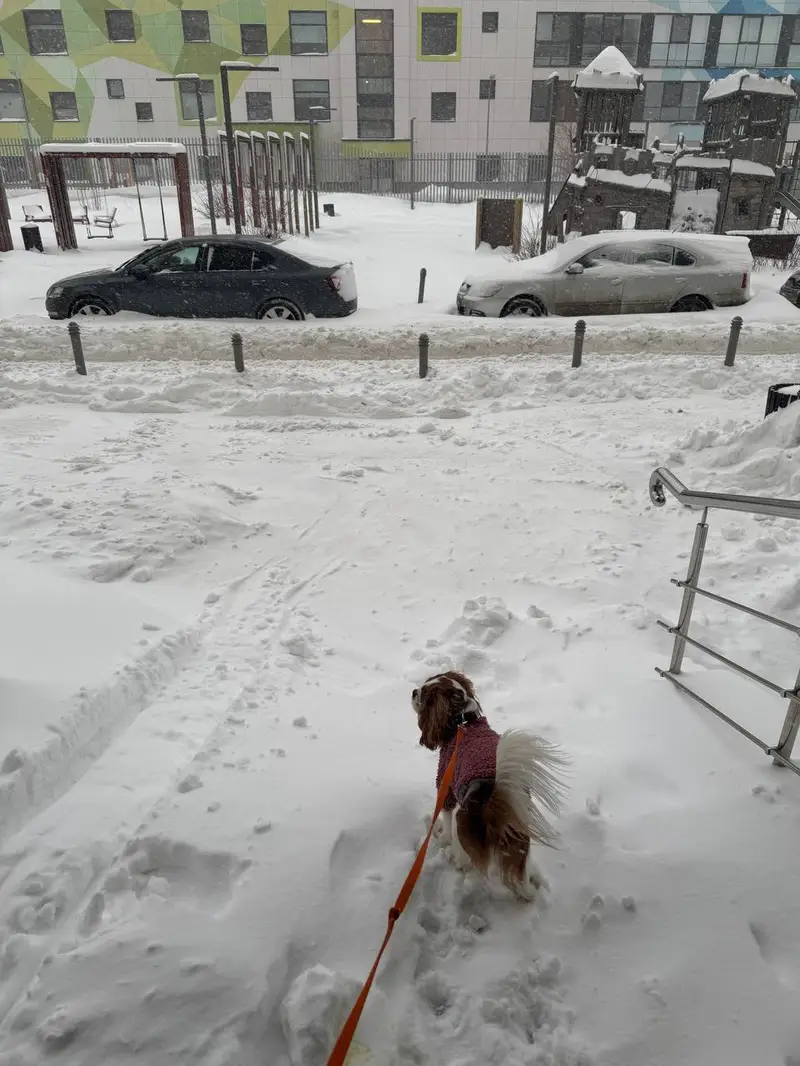 9 января - ЖК Переделкино Ближнее - 2