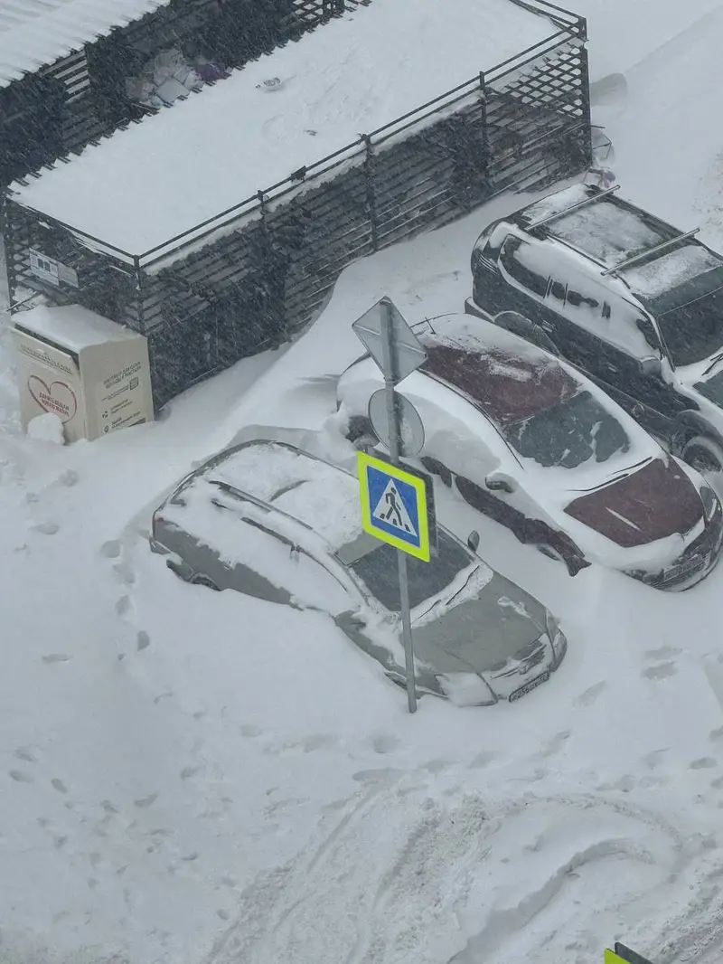 9 января - ЖК Румянцево Парк - 5