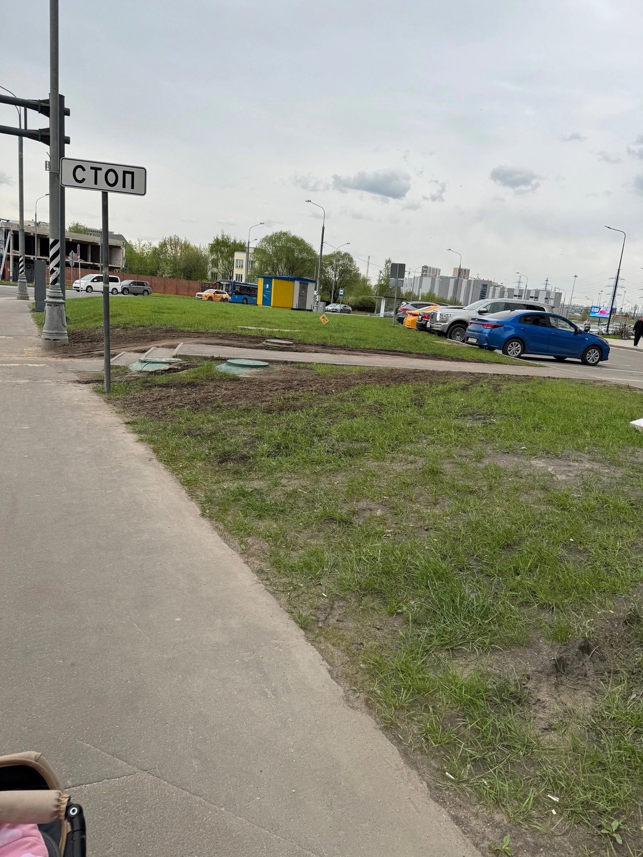 Плохой газон в ЖК Румянцево Парк - 3