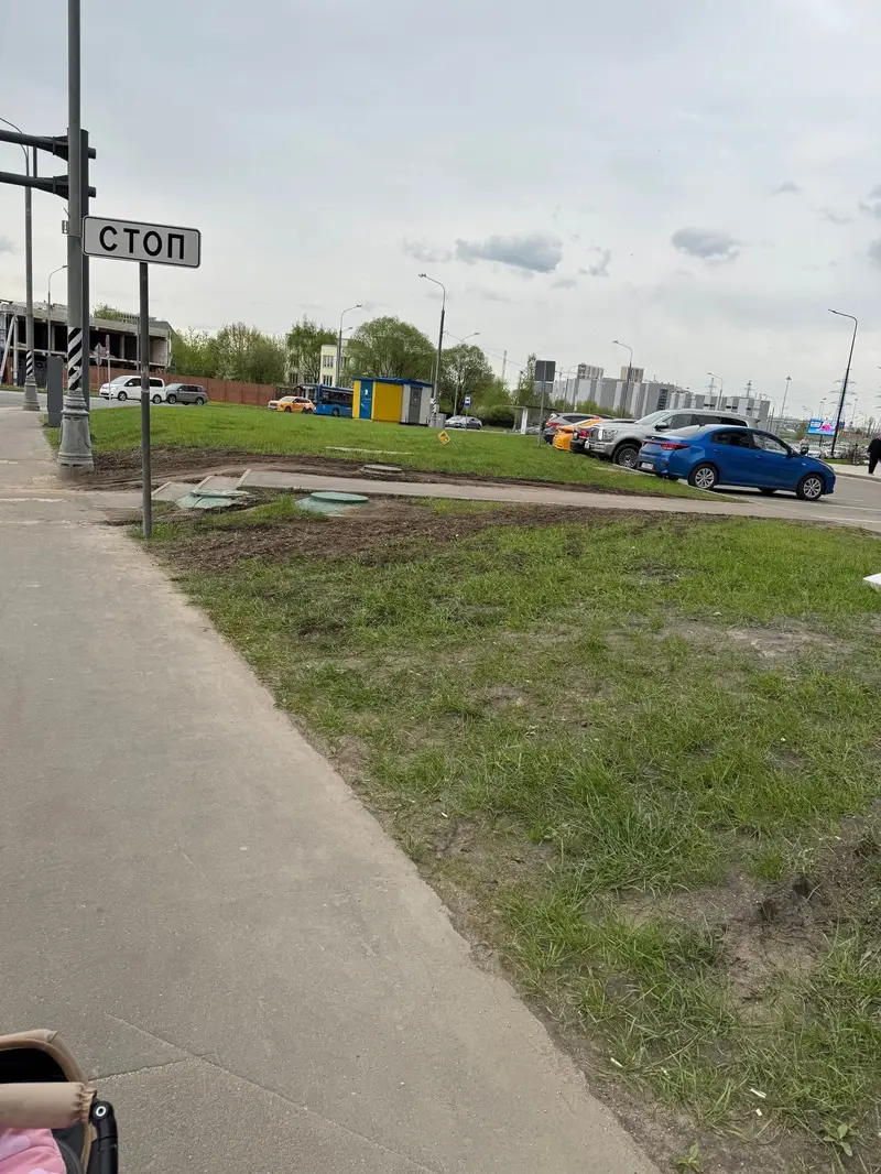 Плохой газон в ЖК Румянцево Парк - 3