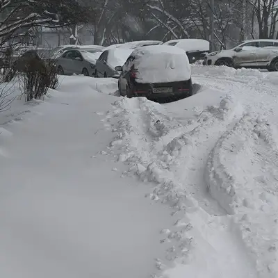 9 января - Ново-Переделкино - дворы