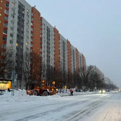 9 января - чистка Скульптора Мухиной