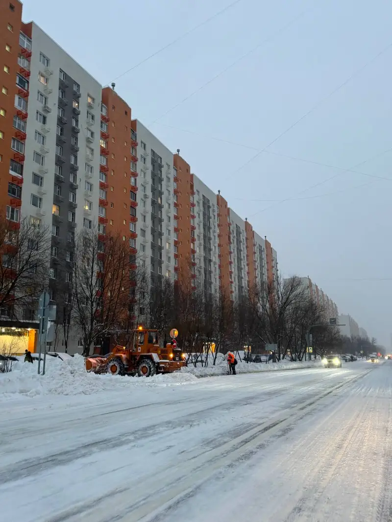 9 января - чистка Скульптора Мухиной