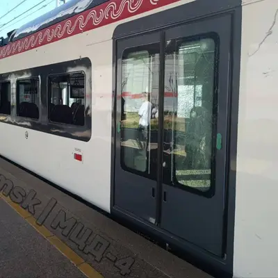 Атакованная Иволга ЭГЭ2Тв-027 - 1