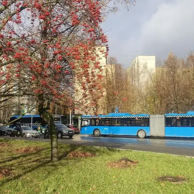Автобусы на Солнцевском проспекте не могут проехать