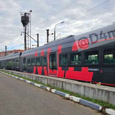 Черная Иволга в Апрелевке - состав