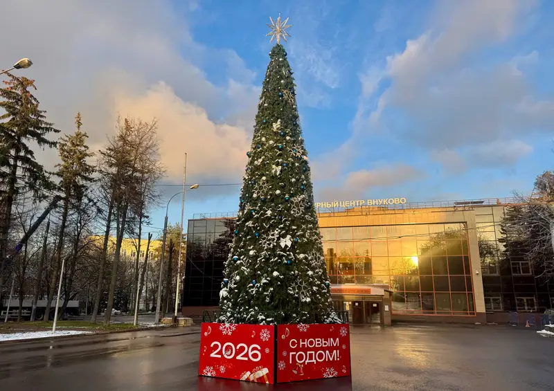 Все адреса для новогодних ёлок в большом районе Внуково