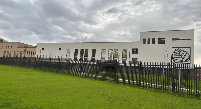 Тяжелая судьба газона в Переделкино Ближнее: постелили, раскопали