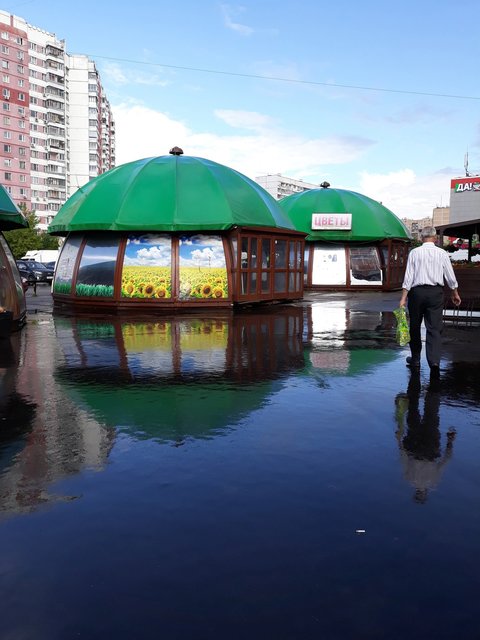 Грибки у рынка в Ново-Переделкино