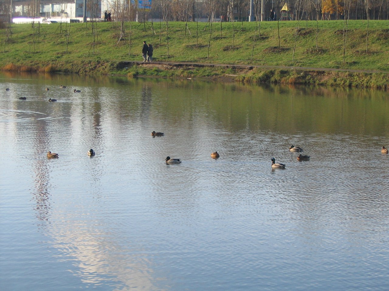 IMG_1350