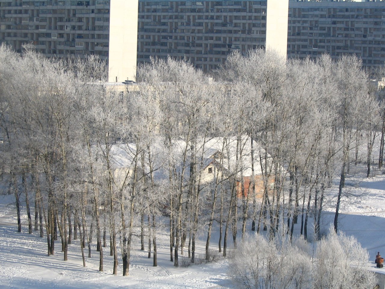 IMG_1436