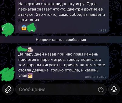 Игра пернатых в ЖК Форест