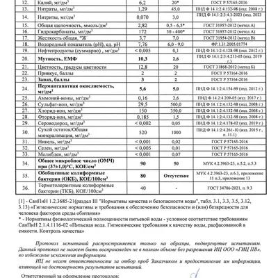Исследование воды в Большом Федосьинском пруду - лист 2